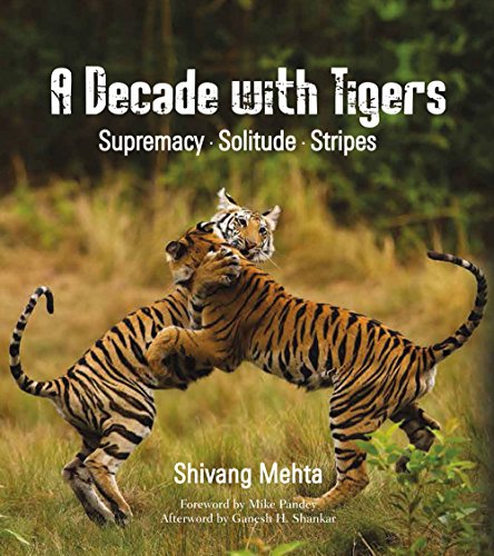 A Decade with Tigers: Supremacy . Solitude . Stripes cover