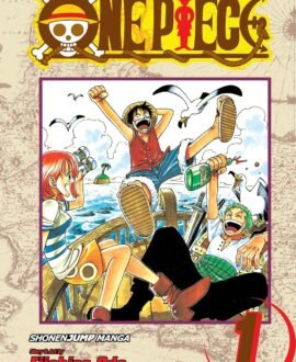 One Piece 01: Romance Dawn: Volume 1 [Paperback] Eiichiro Oda